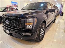 فورد إف-150